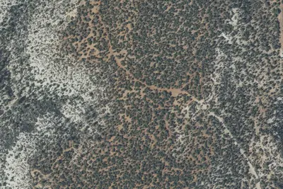 Camp site