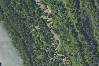 Fort Stevens State Park - South Campground