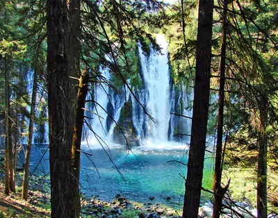 Through the Trees, Burney Falls, CA 9-06 (24912444861)