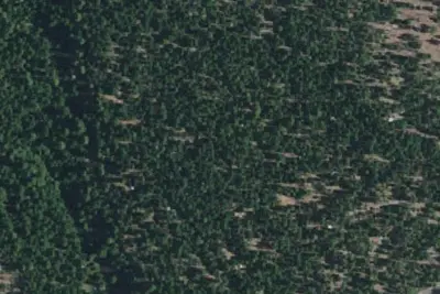 Camp site