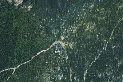 Fs Road 2667 (Roman Nose Access)