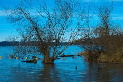 Lake Sammamish State Park (198153715)