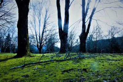 Lake Sammamish State Park (198153621)