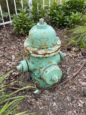 Fire hydrant in Chatham-Arch - June 2022 - Sarah Stierch