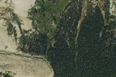 Camp site
