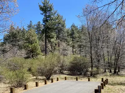 Laguna Campground Campsite