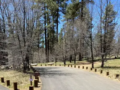 Campsite Laguna Campground