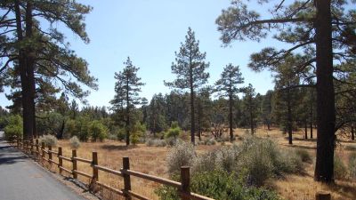 Laguna Campground