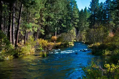 Metolius river deschutes (23305602914)