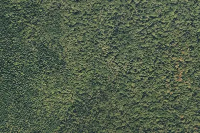 Percy Loop Tentsite