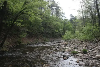 Blaylock Creek near West Trailhead, downstream