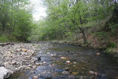 Blaylock Creek near West Trailhead, upstream