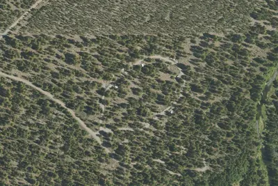 Williamson River Campground