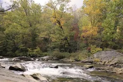 Carolina Hemlocks Rec Area