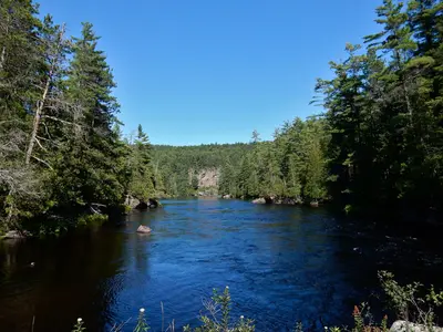 Petawawa River (37746309825)