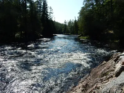 Petawawa River (37746391465)