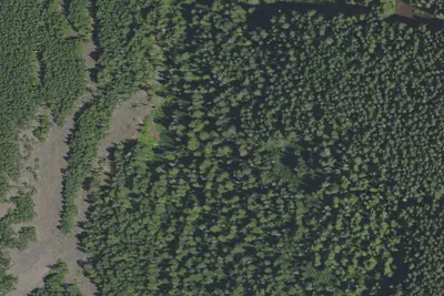 Camp site