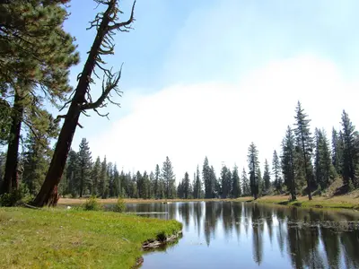 Little Marshy Lake - panoramio (1)