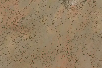 Site 5
