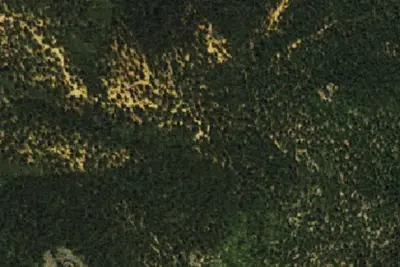 Camp site