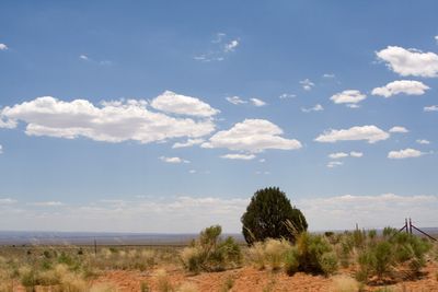 Somewhere In Arizona (140451313)