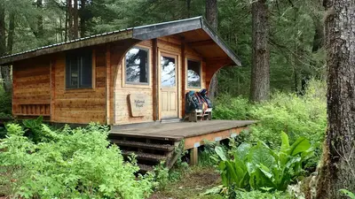 Petersburg Lake Cabin