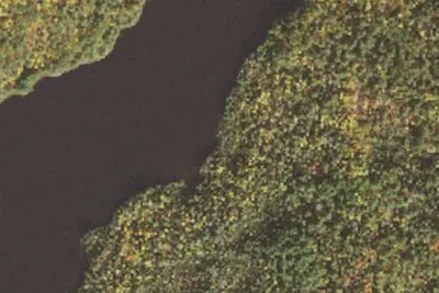 Camp site