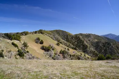 Dsc 2312 (13793269164)