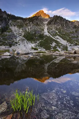 Sawtooth Alpenglow (3628737331)