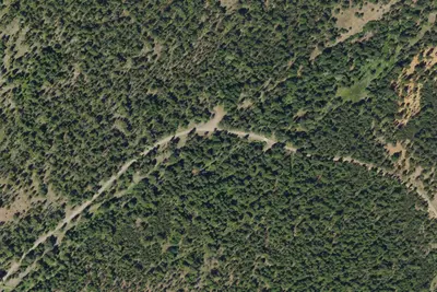 Primitive Camping Area