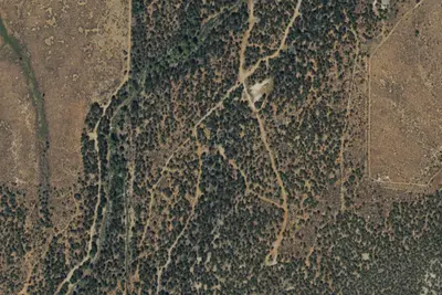 Camp site