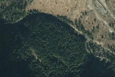 FG - Forest Glade