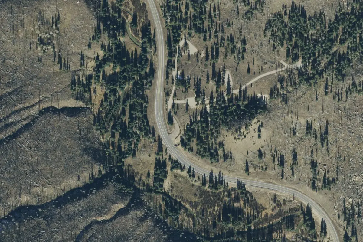 Aerial view