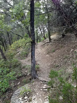 Dinosaur Valley State Park Trail