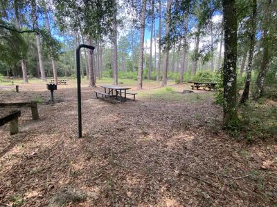 Lake Delancy West Recreation Area