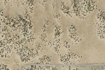 Camp site