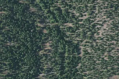 Primitive Camping Area