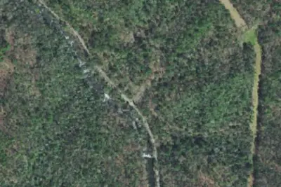 Dam Creek Walk-In Campground and Picnic Area
