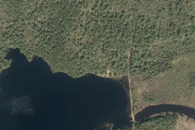 Camp site