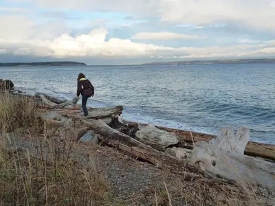 Fay Bainbridge State Park, Washington, USA