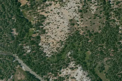 Camp site