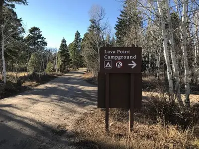 Sign alongside forested dirt road directs campers to the campground entrance.