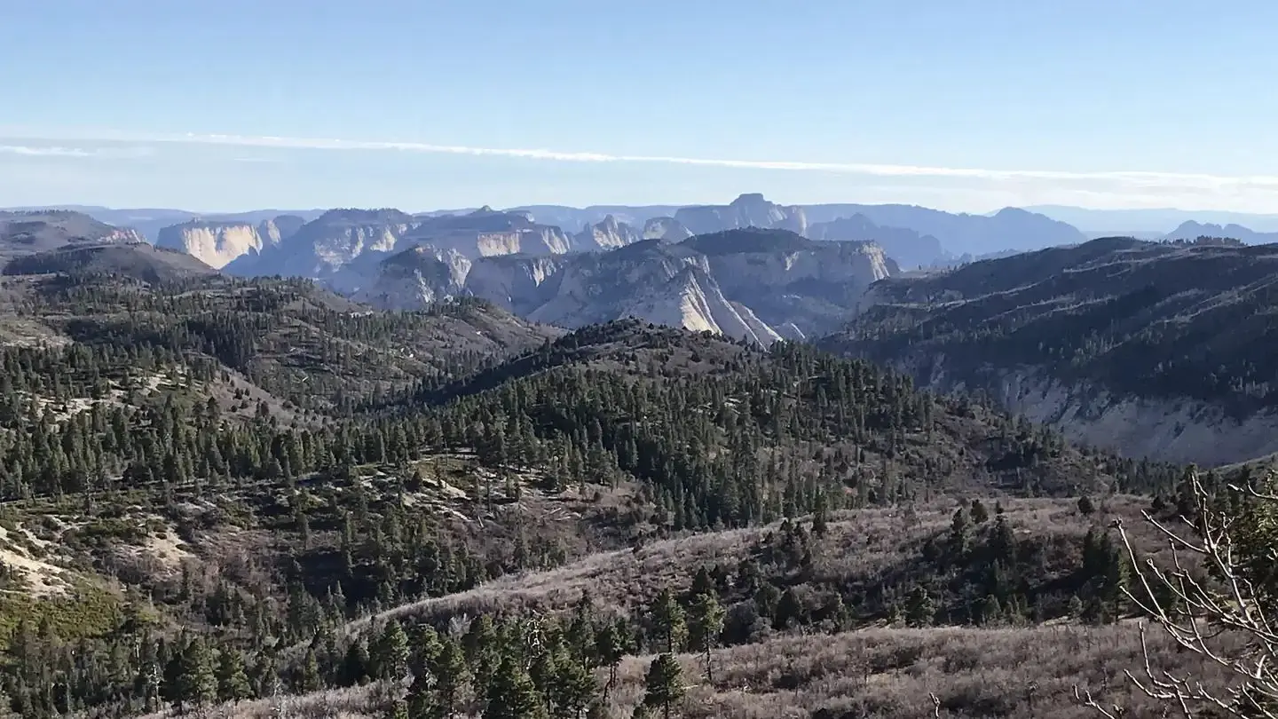 Breathtaking view of rolling forests and Zion's steep canyon walls in the distance.