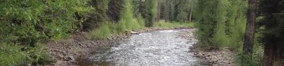 Elk Creek Campground (rio Grande Nf)