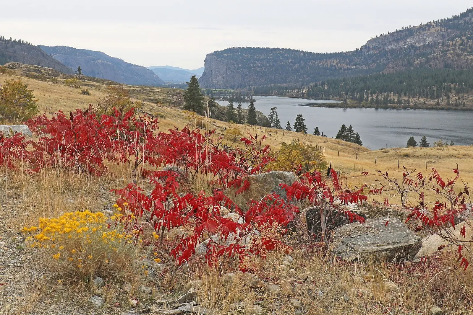 Photo of Vaseux Lake Park