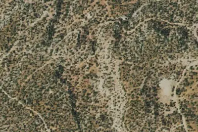 Camp site