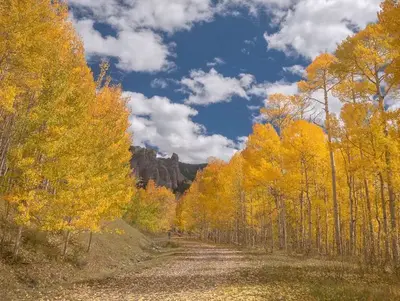 Grand Mesa, Uncompahgre, and Gunnison National Forest