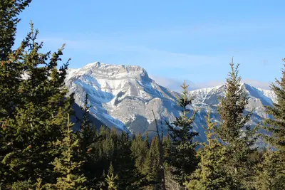 A nice view through the trees on my way to my next location (25974573122)