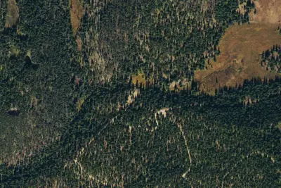 Camp site