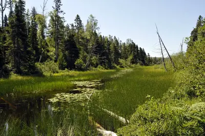 View of Chickenbone Lake coming from McCargoe Cove.